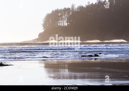 Splendida vista da Hunters Cove nella costa meridionale dell'Oregon con rocce frastagliate e alberi sempreverdi Foto Stock