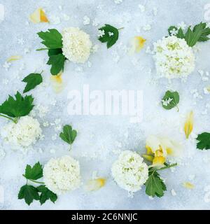 Cornice floreale di idrangea bianca e iride gialla su sfondo grigio. Disposizione piatta, vista dall'alto Foto Stock