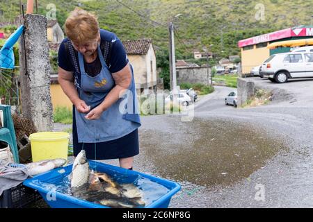 Road Side Fish Market, donna che vende pesce d'acqua dolce appena catturato nel lago Skadar su uno stand, Virpazar, Montenegro Foto Stock