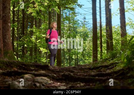 Una donna di mezza età ama fare trekking attraverso una foresta alpina. Zaino, bastoni da passeggio. Foto Stock