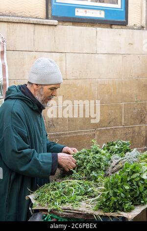 Fez, Marocco - 23 febbraio 2019: Un uomo anziano vende erbe fresche nella città vecchia di Fez in Marocco. Le erbe fresche sono vendute e usate plentifully in Foto Stock