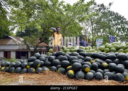 Felice agricoltore per i suoi frutti coltivati quando si raccoglie da campo. Foto Stock