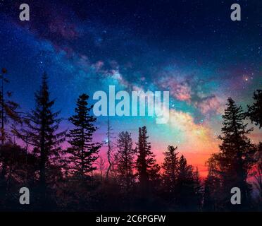 Milky Way nella scena della Foresta notturna con nebbia e tramonto Foto Stock