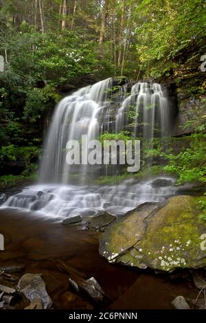 Mullet Falls lungo il Mullet Creek nella zona unica del fiume Neversink a Forestburgh, Sullivan County, New York Foto Stock