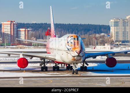 MOSCA, RUSSIA - 07 FEBBRAIO 2017: La faccia della tigre siberiana è sul naso del Boeing 747 di Rossiya Airlines nell'aeroporto di Vnuovo. Foto Stock