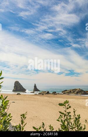 Immagine verticale - Needle Rock e le pile di mare sulla spiaggia di Bandon in Oregon Foto Stock