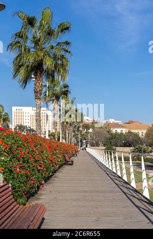 Pont de les Flors ponti che attraversa il Jardin del Turia di Valencia città, sempre ornati di fiori. Foto Stock