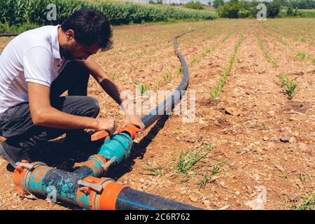 Sistema di irrigazione. Sistema di irrigazione a risparmio d'acqua utilizzato in un campo di mais giovane. Lavoratore collega tubi di sistema di irrigazione. Sfondo agricolo Foto Stock