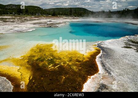 Vista della piscina dello zaffiro nel Bacino Biscuit, un geyser, una sorgente termale e area termale del Parco Nazionale di Yellowstone Foto Stock