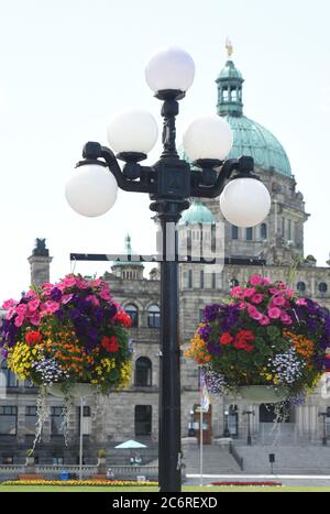 I cestelli sospesi pieni di fiori colorati pendono dai pali delle lampade di fronte all'edificio della Legislatura provinciale BC nel centro di Victoria, British C. Foto Stock