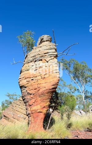 Vista verticale delle formazioni rocciose erose in arenaria, Southern Lost City, Limmen National Park, Northern Territory, NT, Australia Foto Stock