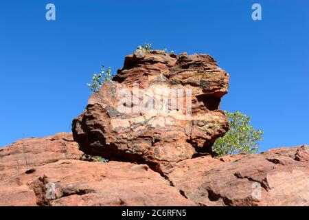 Dettagli di formazioni rocciose erose in arenaria, Southern Lost City, Limmen National Park, Northern Territory, NT, Australia Foto Stock