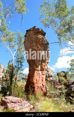 Forma insolita di formazioni rocciose erose in arenaria, Southern Lost City, Limmen National Park, Northern Territory, NT, Australia Foto Stock