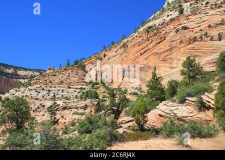 Scenic Byway Zion National Park, Utah Foto Stock