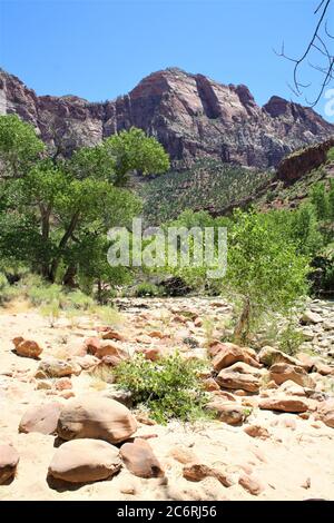 Formazioni rocciose lungo il Sentiero escursionistico Zion National Park, Utah Foto Stock