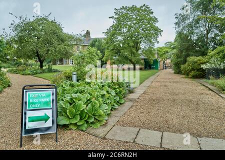 Percorsi di ingresso e uscita separati per garantire la distanza sociale presso l'università del giardino botanico di Cambridge, luglio 2020, a causa del pericolo di coronavirus. Foto Stock