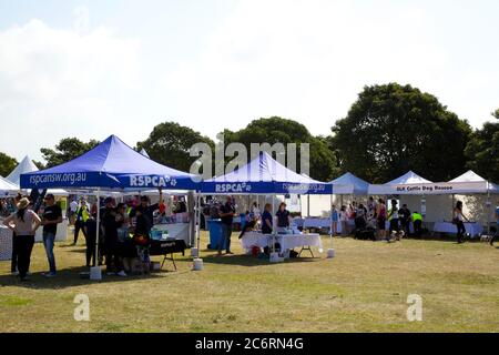 Vari gruppi di soccorso e benessere degli animali provenienti da tutto lo stato hanno avuto bancarelle all'evento ‘Rescue Me’ - Rescue Dog Adoption Day che celebra la WOR Foto Stock