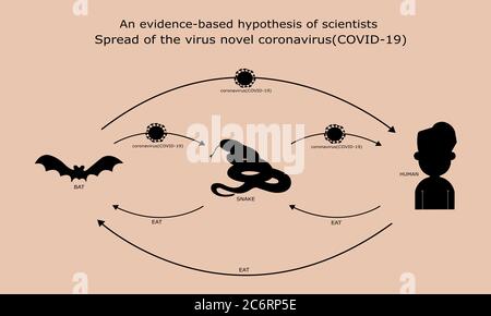 Ombra, un'ipotesi basata su prove di scienziati diffusione del virus novel coronavirus (Covid-19). Pipistrelli sparsi al serpente, il serpente si sparse alla gente. Foto Stock