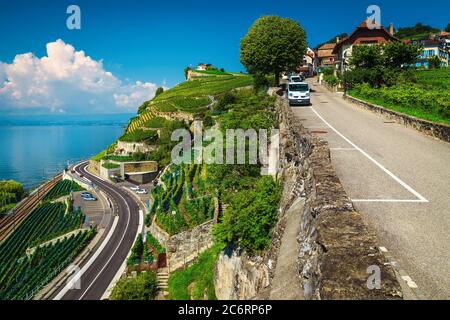 Bellissimi vigneti terrazzati e tortuosa strada sulla riva del lago di Ginevra vicino a Losanna, Rivaz villaggio, Canton Vaud, Svizzera, Europa Foto Stock