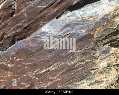 Figure animali nella zona archeologica di Siega Verde Foto Stock