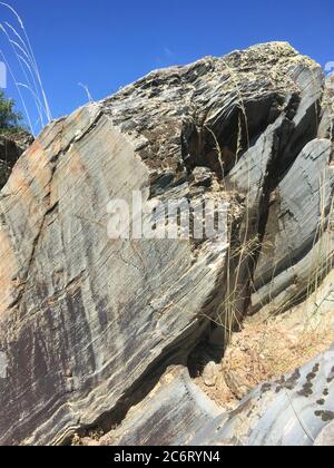 Figure animali nella zona archeologica di Siega Verde Foto Stock