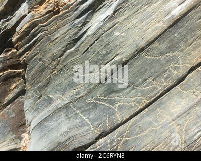 Figure animali nella zona archeologica di Siega Verde Foto Stock