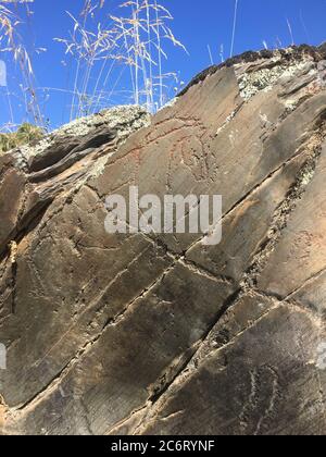 Figure animali nella zona archeologica di Siega Verde Foto Stock