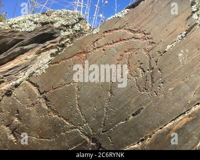 Figure animali nella zona archeologica di Siega Verde Foto Stock