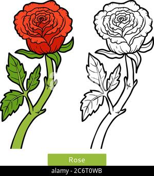 Libro da colorare per bambini, fiore Rosa Illustrazione Vettoriale