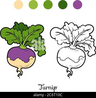 Libro da colorare per bambini, verdure, Turnip Illustrazione Vettoriale