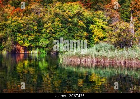 Lago con canne e alberi d'autunno della foresta con riflessione in acqua, paesaggio idilliaco nel Parco Nazionale dei Laghi di Plitvice, Croazia. Foto Stock