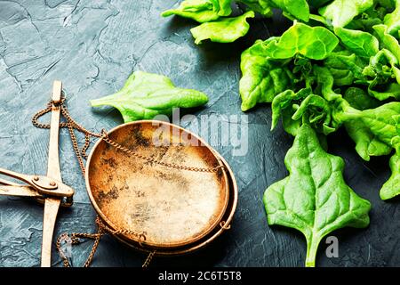 Foglie di spinaci verdi e scale da cucina su sfondo di ardesia blu Foto Stock