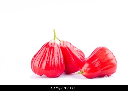 mela di rosa o chomphu su sfondo bianco sano cibo di frutta di mela di rosa isolato Foto Stock