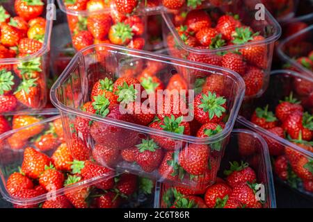 Punzoni di plastica di fragole mature in vendita in una bancarella di mercato Foto Stock