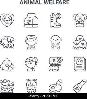 set di 16 icone di linee vettoriali per il concetto di benessere degli animali. 64x64 icone di ictus sottili come latte di mandorle, fauna selvatica, polli, elefante, cane, trucco, carne, selvatico Illustrazione Vettoriale