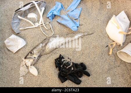 Rifiuti medici di plastica e morte bocca di merluzzo bianco, rifiuti monouso effetti inquinamento sulla costa sabbiosa del mare, coronavirus concetto Foto Stock