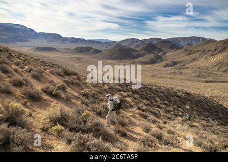 Due uomini backpackers escursione su una collina, parte del popolare Cottonwood Canyon - Marble Canyon backpacking percorso loop nel Death Valley National Park, CA Foto Stock
