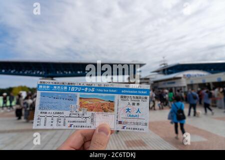 Ingresso ovest del parco Hitachi Seaside. Foto Stock