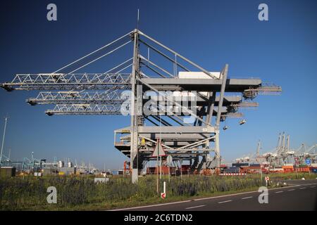 Gru del terminal dei container ECT sul Maasvlakte nel porto di Rotterdam Foto Stock