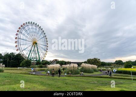 I turisti camminano e pedalano nel Parco Mare di Hitachi. Foto Stock
