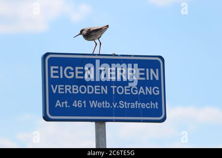 Common Redshank è su una scheda con il testo 'proprietà propria, accesso vietato secondo la legge olandese' in lingua olandese Foto Stock