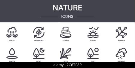 set di icone della linea di concetto natura. contiene icone utilizzabili per il web, logo, ui/ux come agronomia, tramonto, acqua, canna, giorno, nevicata, ramo, pietre Illustrazione Vettoriale