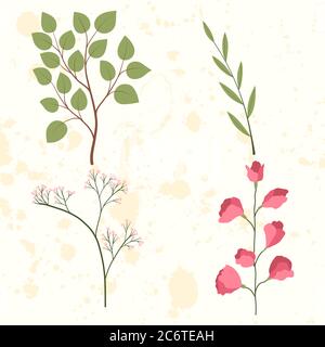 Set con fiori di pisello dolce e foglie verdi, ramificazione di foglia d'oliva. Illustrazione vettoriale isolata. Illustrazione Vettoriale