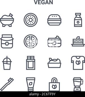 set di 16 icone di linee vettoriali di concetto vegano. 64x64 icone di colpo sottile come kiwi, miele, torta di carote, hummus, crema per il corpo, miscelatore, borsa per la spesa, moisturi Illustrazione Vettoriale