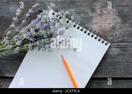 Apri il libro di schizzo con carta bianca bianca bianca e un mazzo di fiori di lavanda su rustico sfondo grigio di legno con spazio per la copia. Vista dall'alto, messa a fuoco selettiva Foto Stock