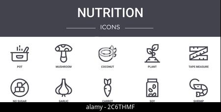 set di icone della linea nutrizionale. contiene icone utilizzabili per web, logo, ui/ux come funghi, piante, senza zucchero, carote, soia, gamberi, metro a nastro, coc Illustrazione Vettoriale