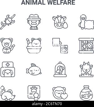 set di 16 icone di linee vettoriali per il concetto di benessere degli animali. 64x64 icone di tratti sottili come cacciatore, gatto, scimmia, gabbia di uccelli, certificato, traffico di animali, a. Illustrazione Vettoriale