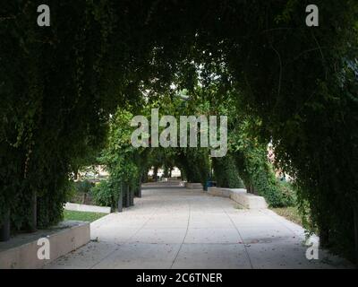 Giardino arco Foto Stock