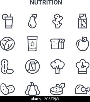 set di 16 icone di linee vettoriali di concetto nutrizionale. 64x64 icone di ictus sottili come pera, cavolo, mela, broccoli, zucca, pollo, vegan, pane, latte Illustrazione Vettoriale
