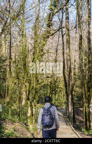 In inverno l'uomo anziano con uno zaino e in un cappello da baseball sta camminando lungo un sentiero tra alberi relict. Nel groviglio e boschetto di bosso del Foto Stock